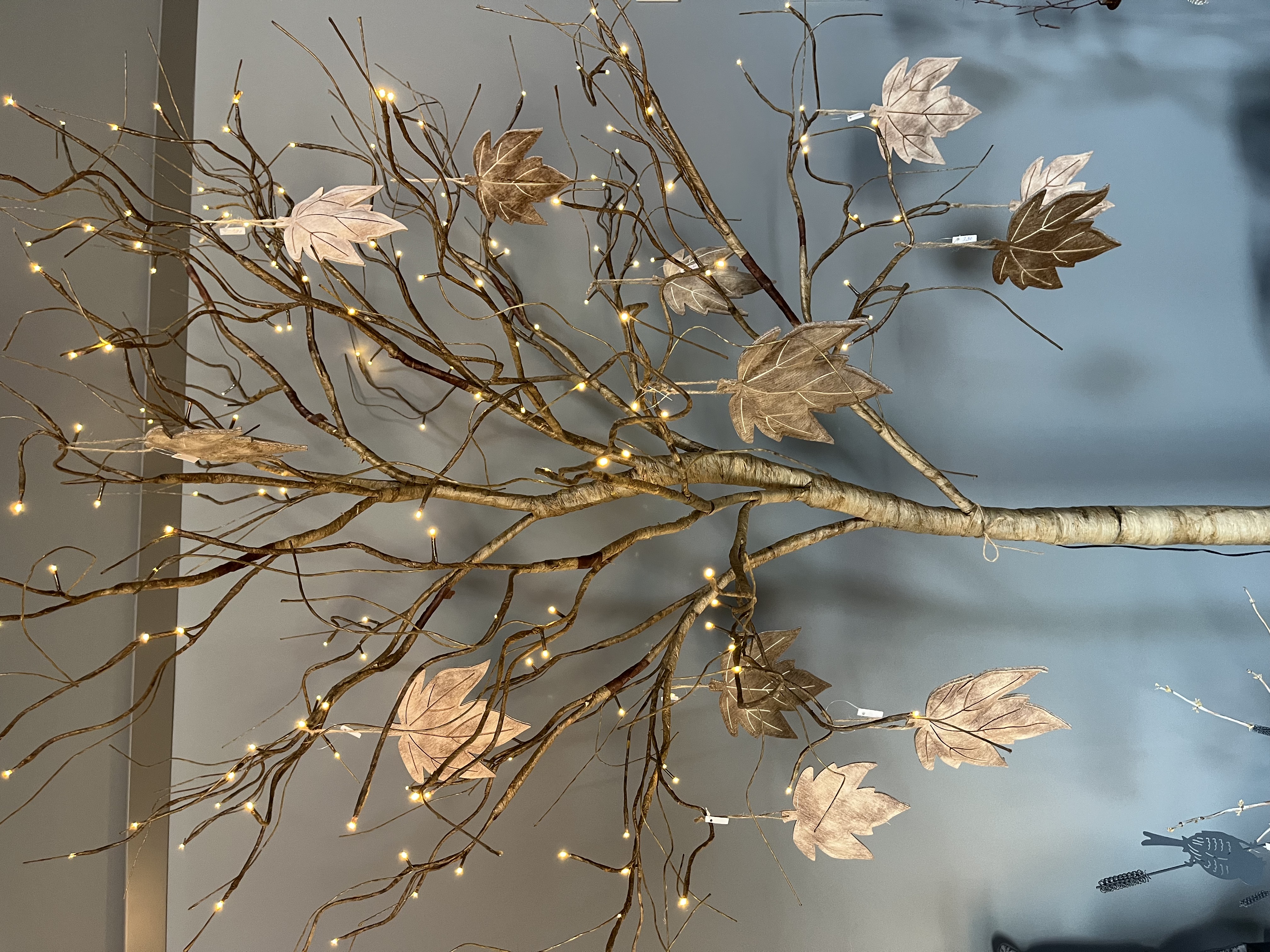 jane-glaser.de - Herbst - IMG3345.jpg