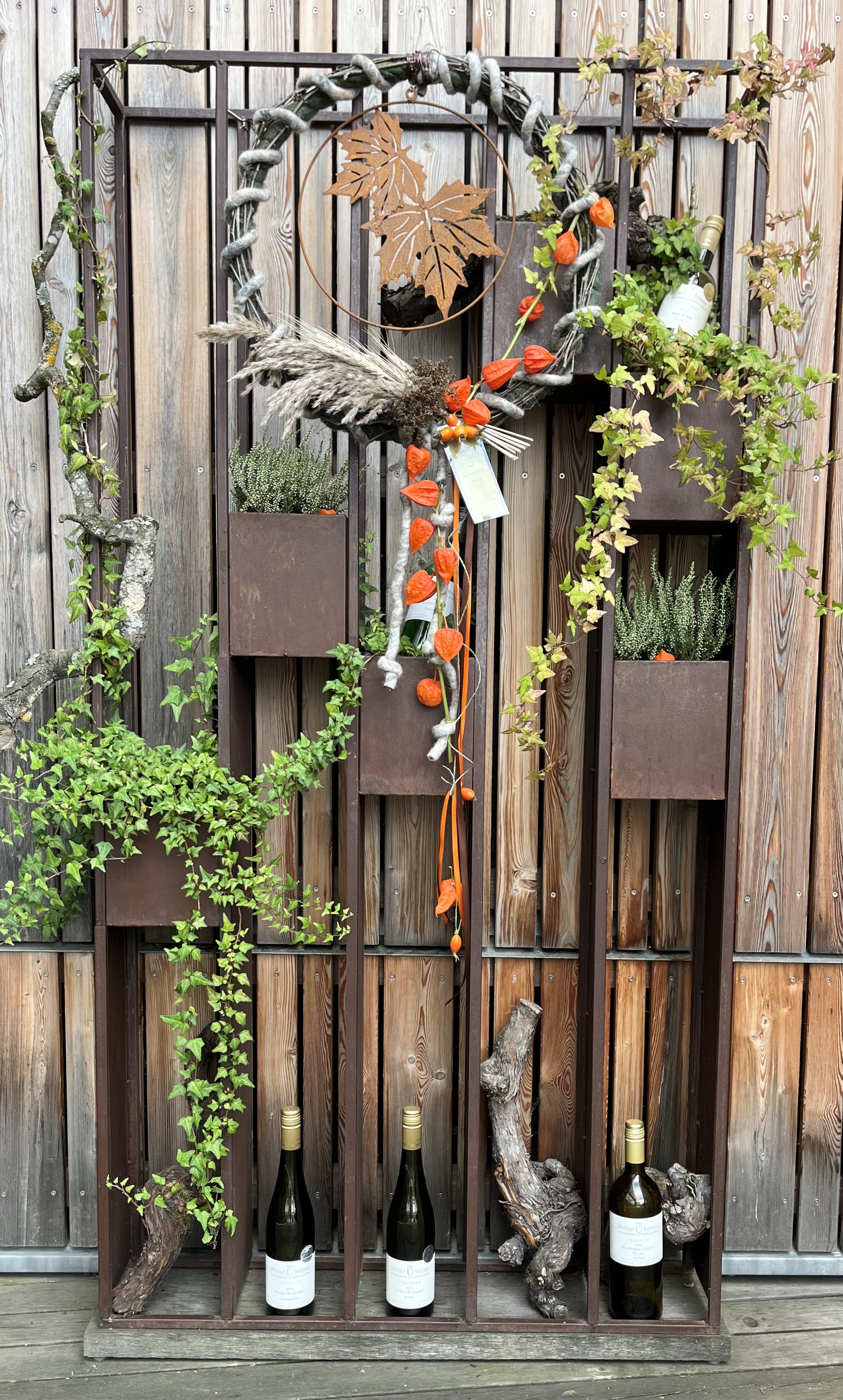 jane-glaser.de - Herbst - IMG3472.jpg