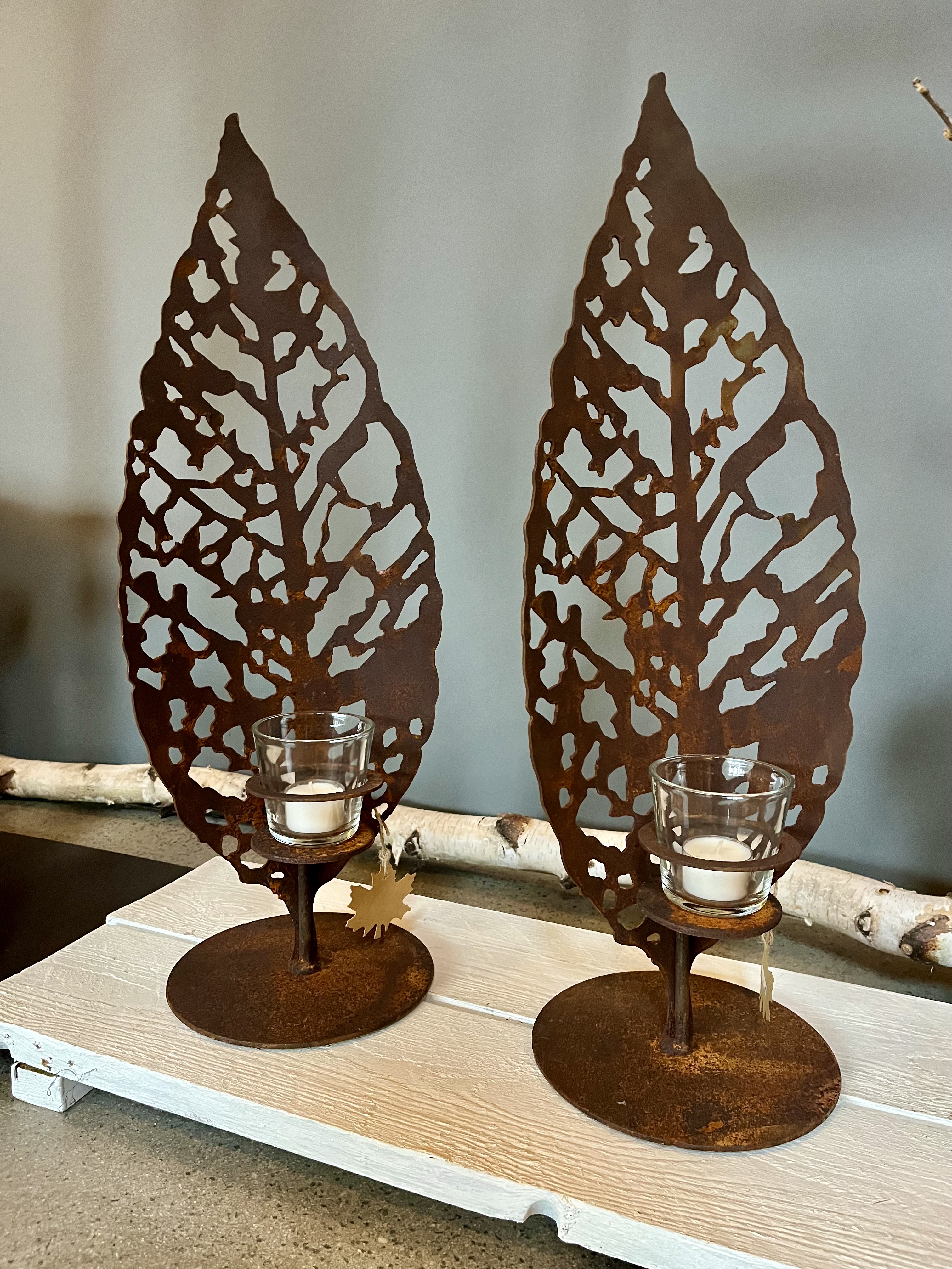 jane-glaser.de - Herbst - IMG4108.jpg