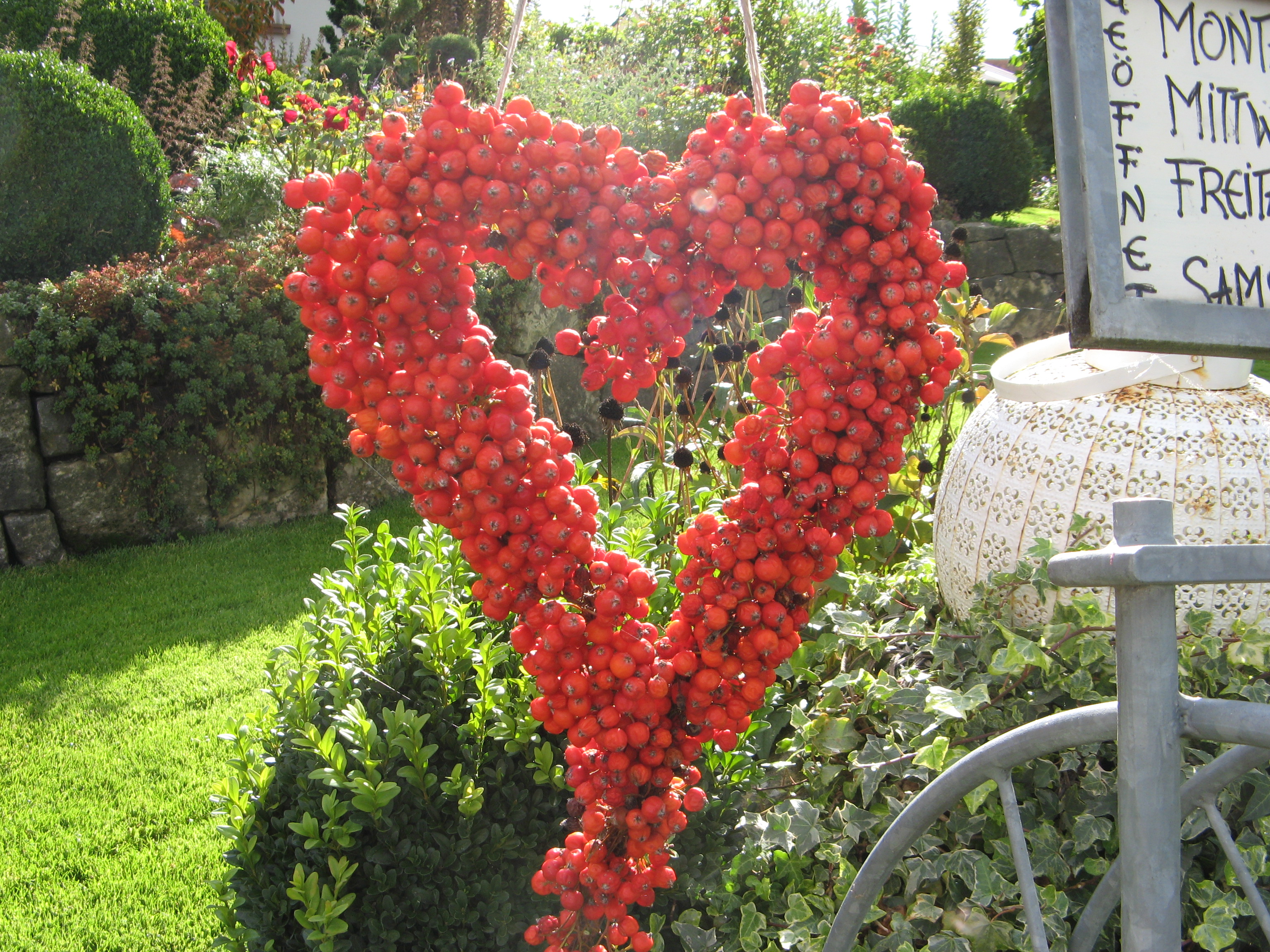 jane-glaser.de - Herbst - IMG6936.JPG