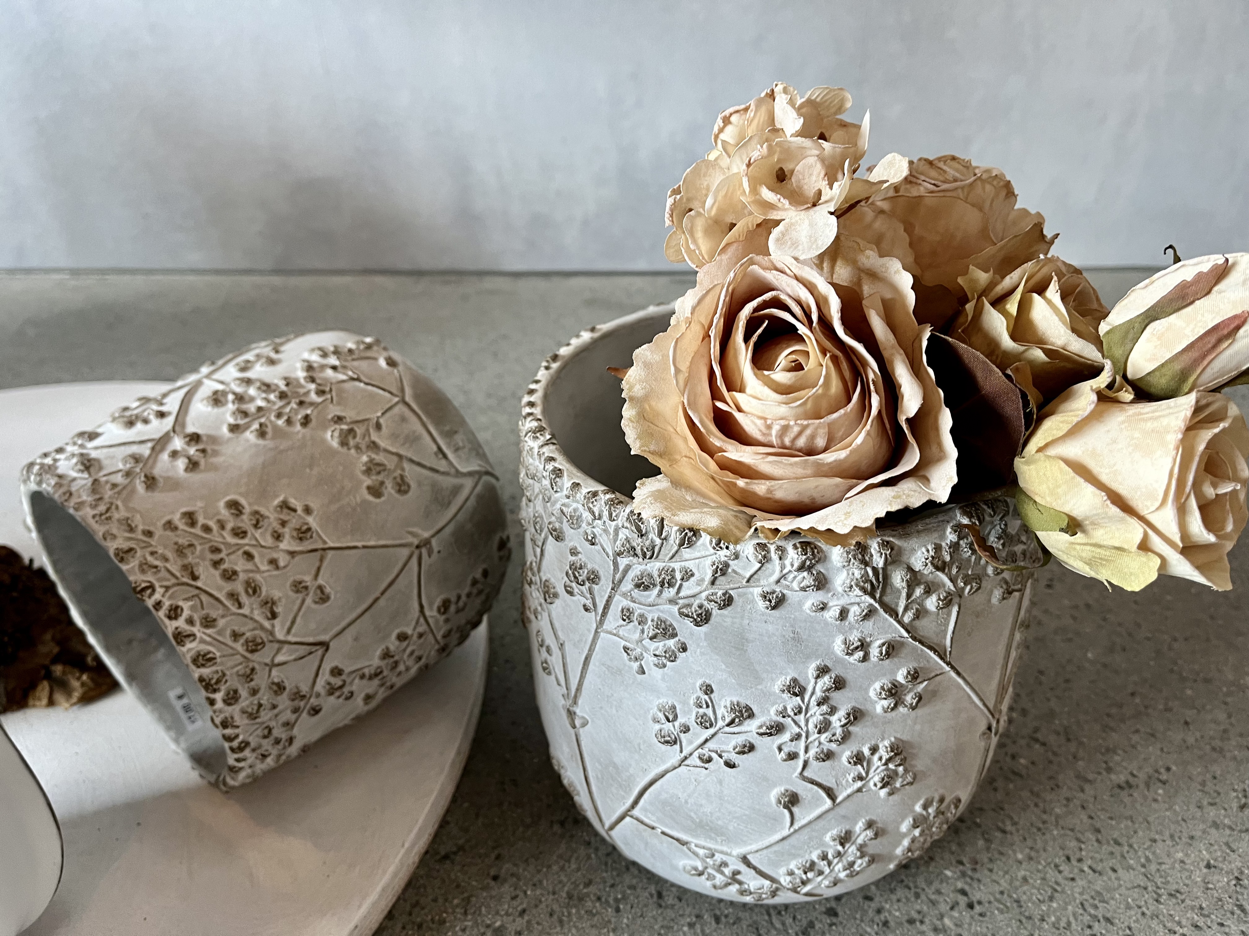 jane-glaser.de - Herbst - IMG6998.jpg