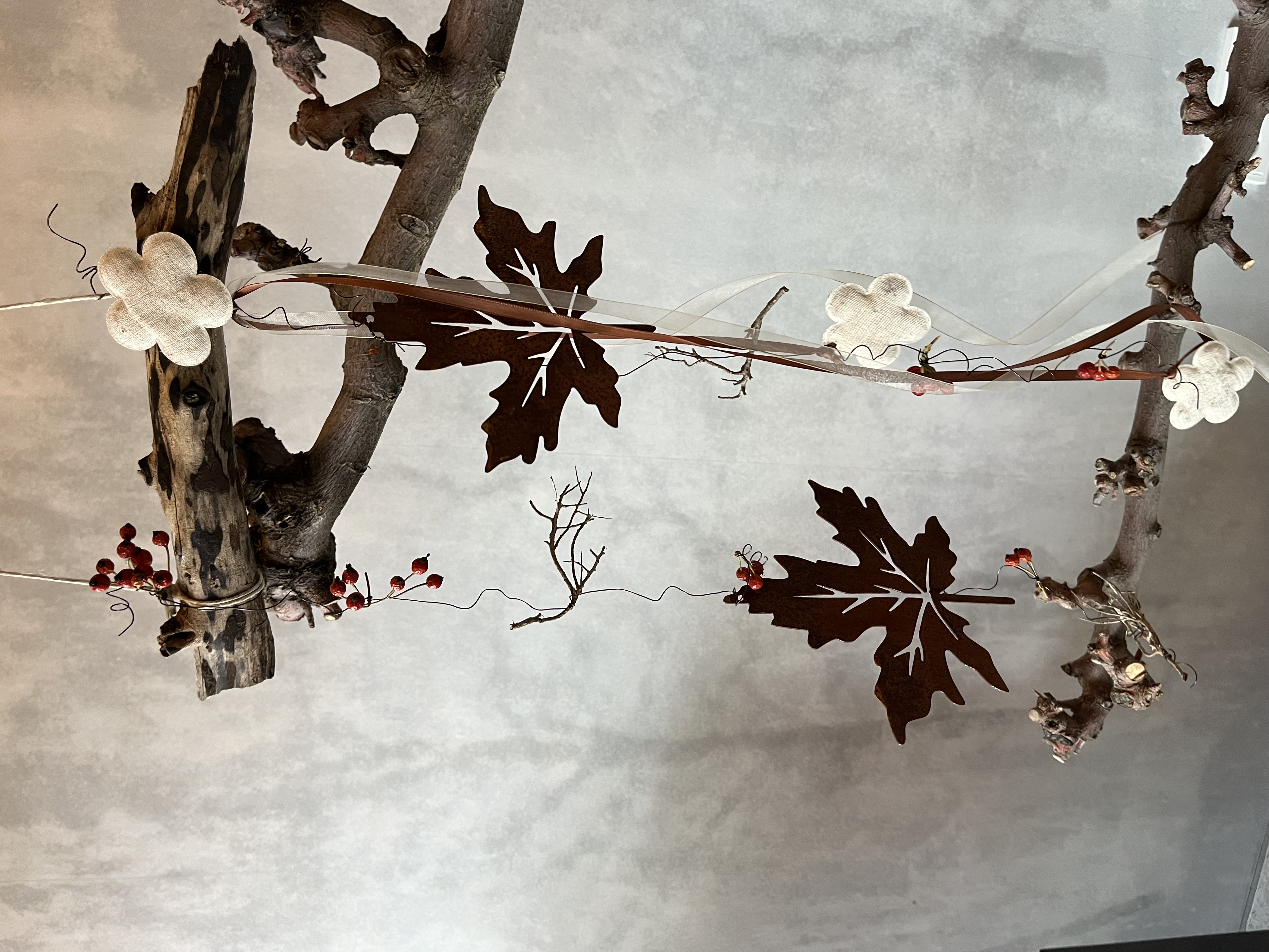 jane-glaser.de - Herbst - IMG7003.jpg