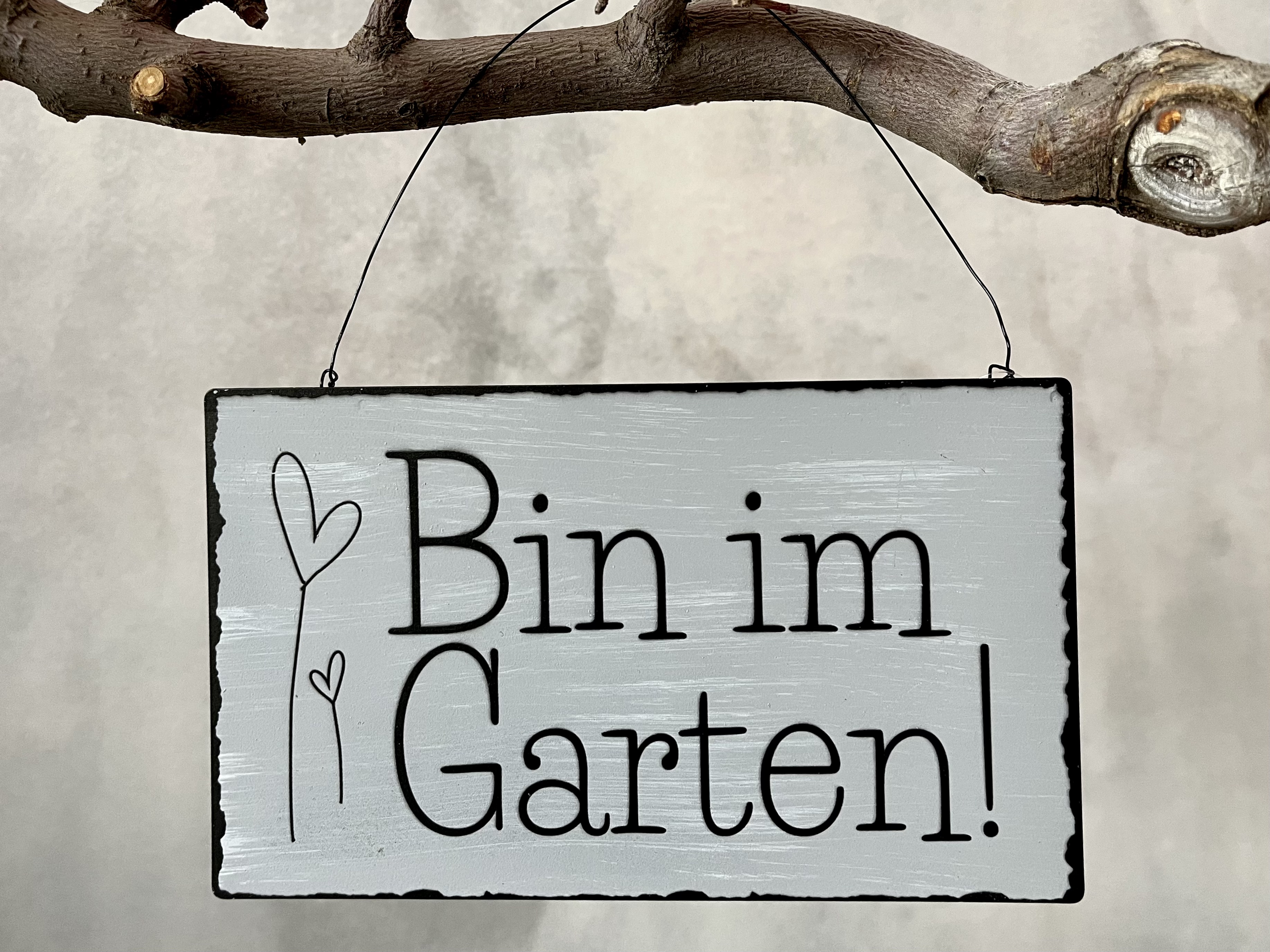 jane-glaser.de - Sommer - IMG3546.jpg