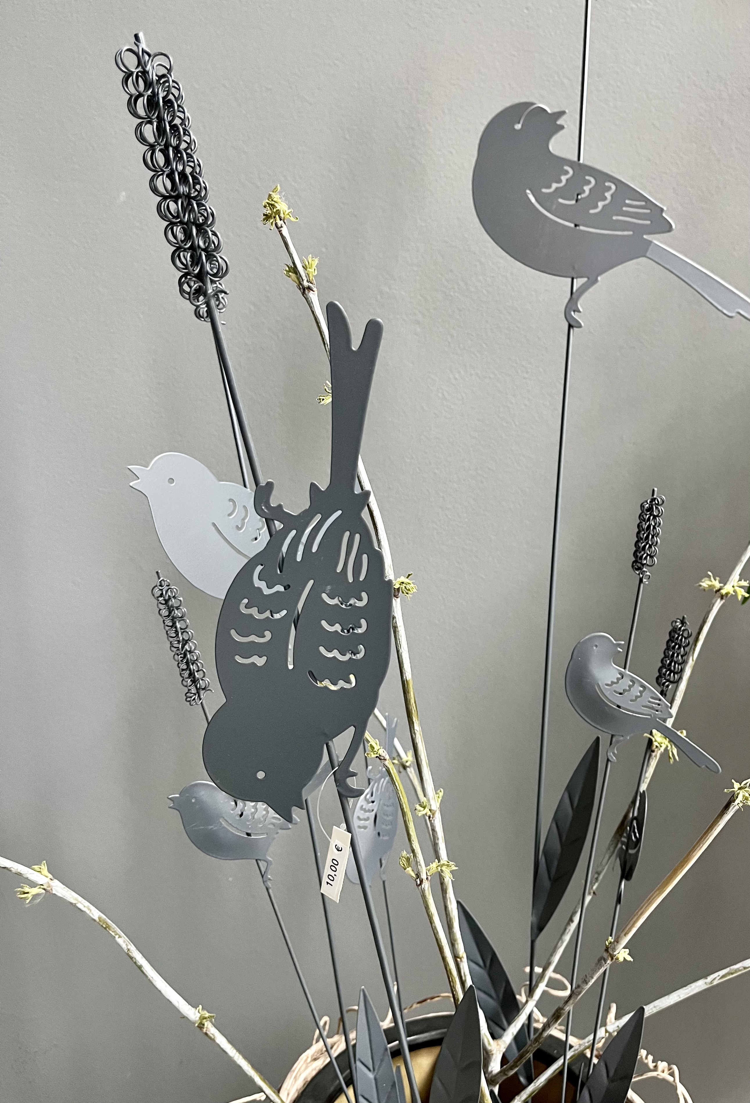 jane-glaser.de - Sommer - IMG3556.jpg