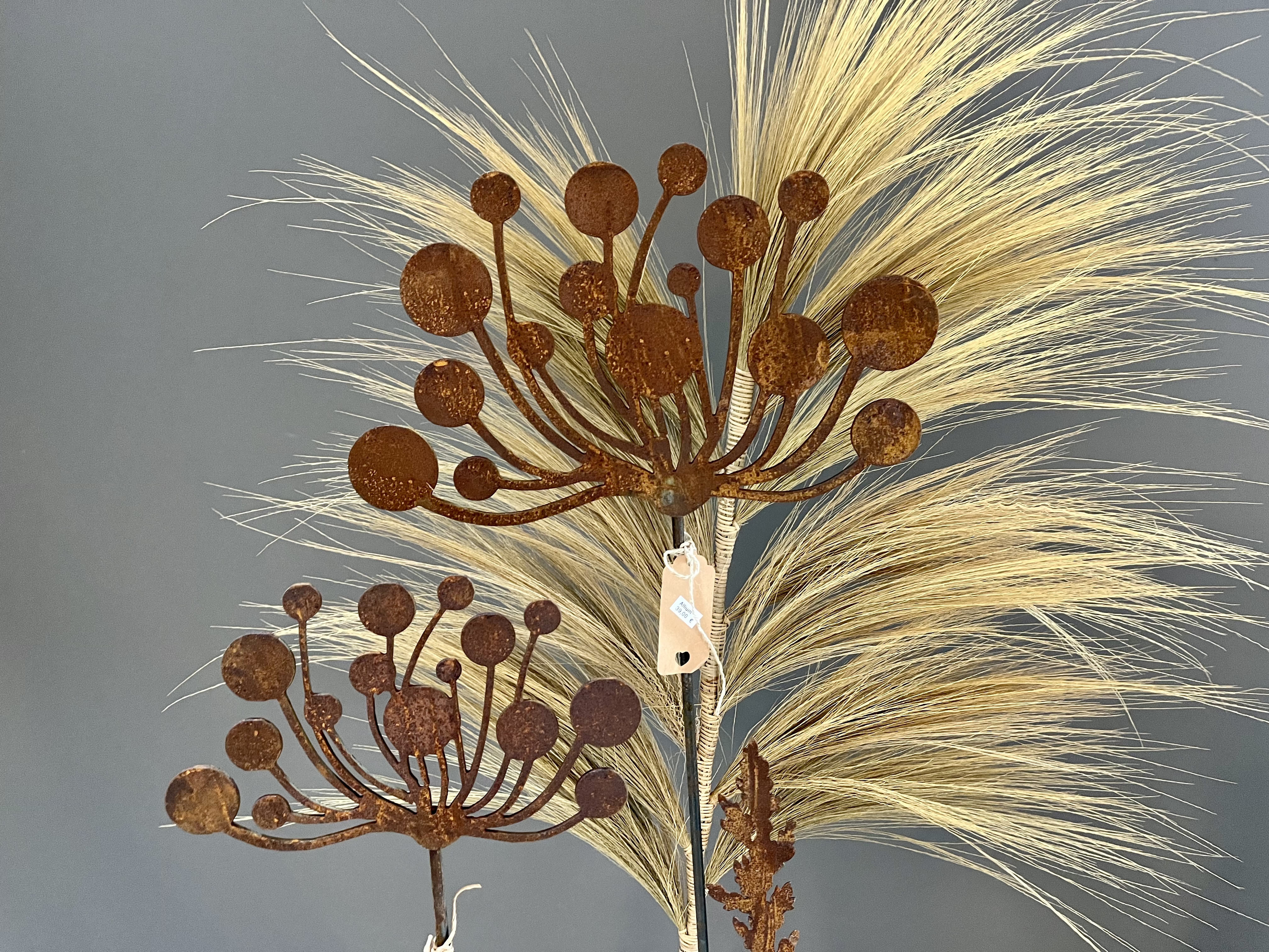 jane-glaser.de - Sommer - Tag20220323160649.jpg