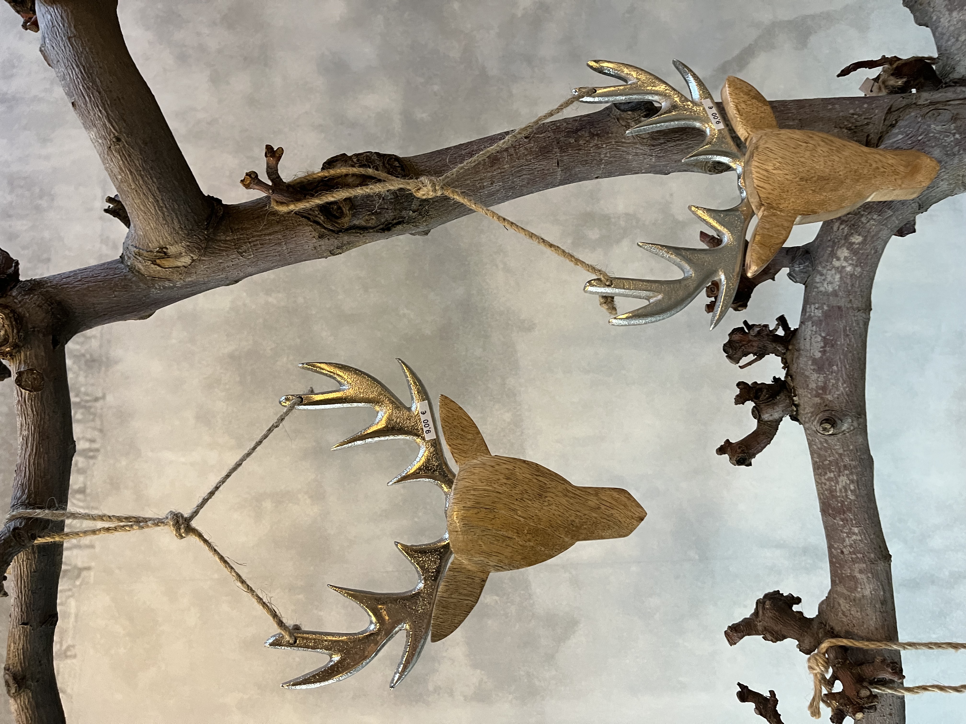 jane-glaser.de - Winter - IMG8248.jpg