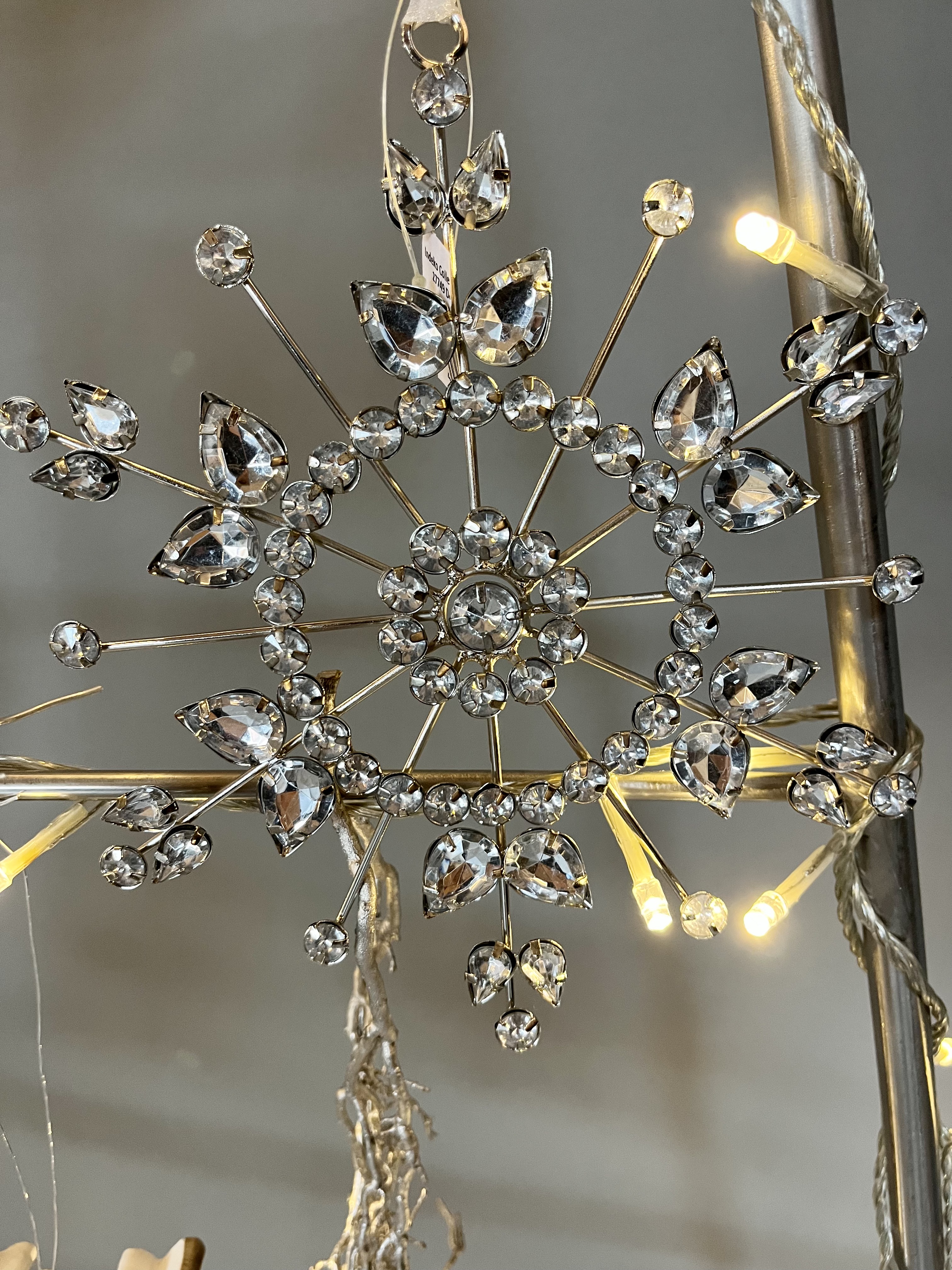 jane-glaser.de - Winter - IMG9018.jpg